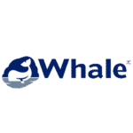 Whale